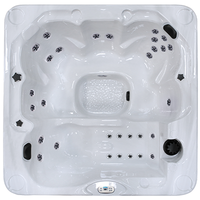 Pacifica Plus PPZ-730L hot tubs for sale in Grand Rapids